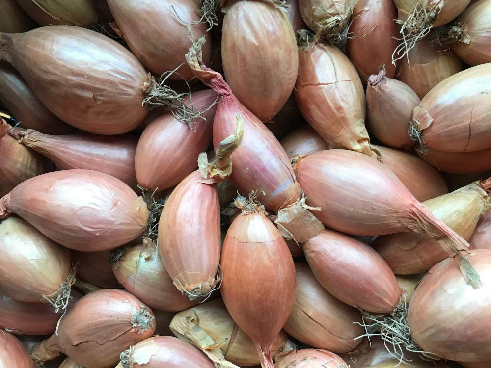 Organic Shallots - 250g (1 Pack) | Fresh Cooking Onions for Soups, Salads & Gourmet Dishes | Premium Quality Allium Vegetables