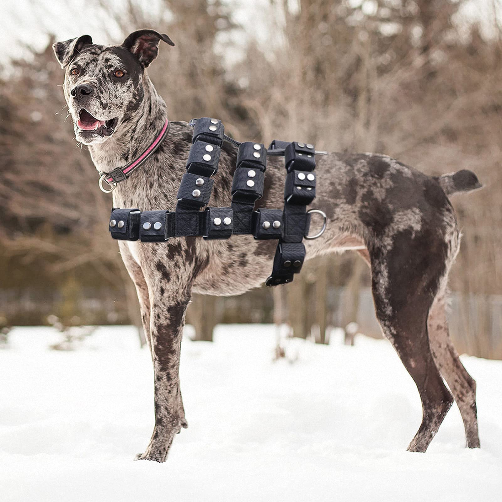 Adjustable Weighted Dog Vest Harness for Small, Medium & Large Dogs - No Pull Tactical Harness with Pockets for Pit Bulls | Weight Loss, Exercise & Muscle Training | Perfect for Walking, Hiking & Outdoor Adventures