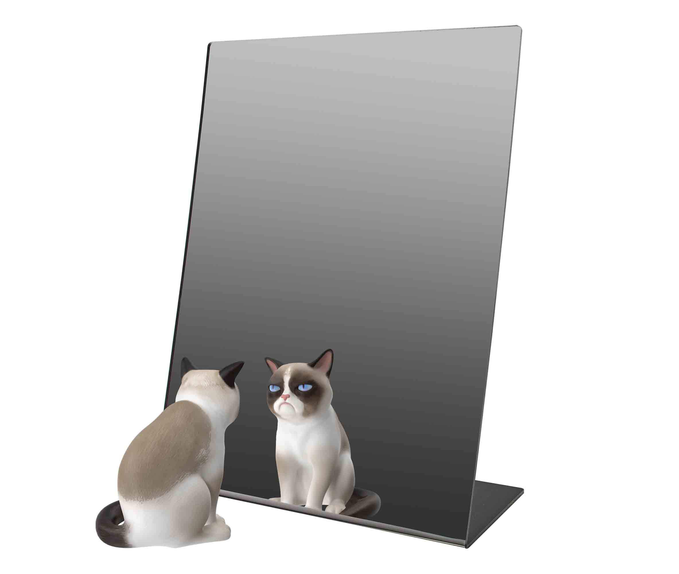 4 Pack Acrylic Easel Mirror 12
