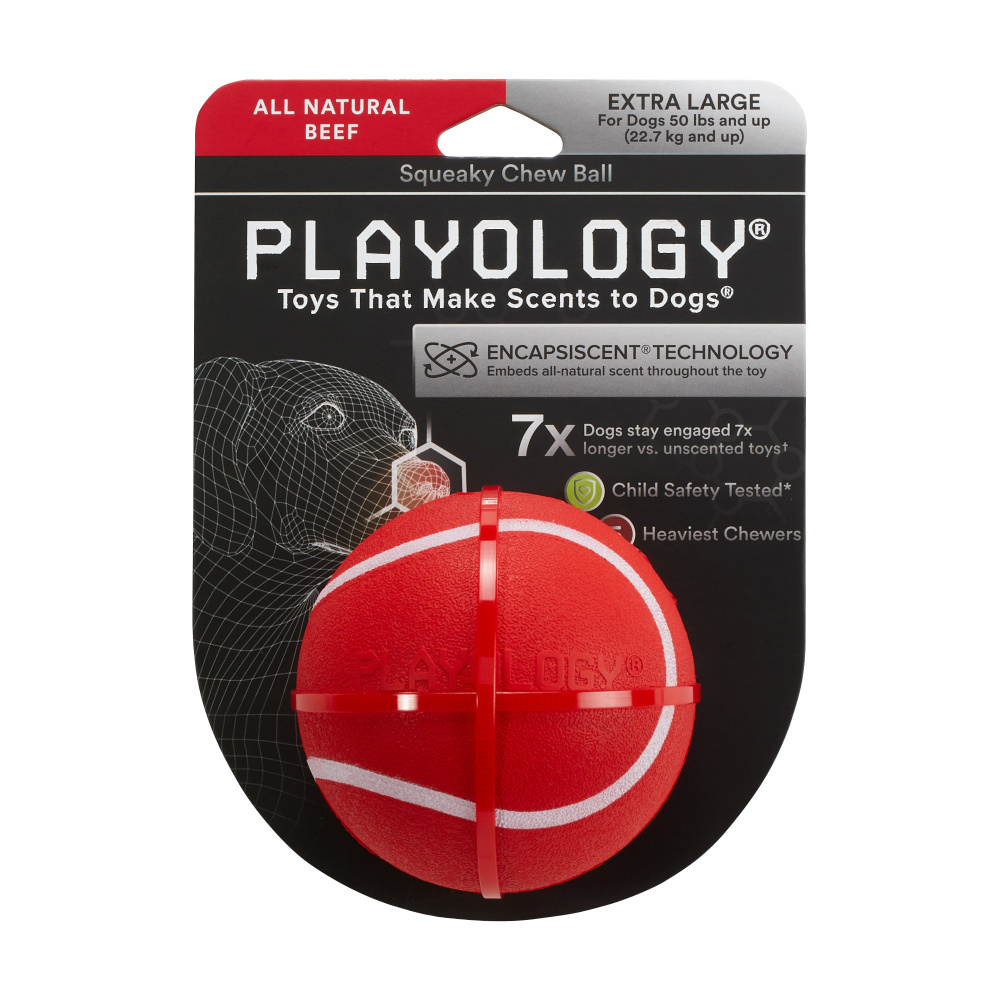 Playology Squeaky Chew Ball Beef Scented Dog Toy - Durable Interactive Chew Toy for Medium & Large Dogs - Perfect for Fetch, Training & Playtime Indoors/Outdoors