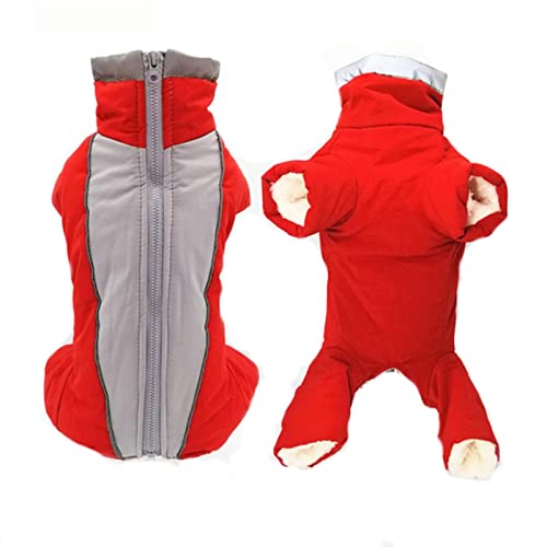 boy red