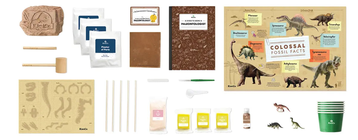Paleontologist Starter Kit - Complete Fossil Digging Tools Set for Kids & Beginners - Perfect for Science Projects, Educational Gifts & Dinosaur Exploration