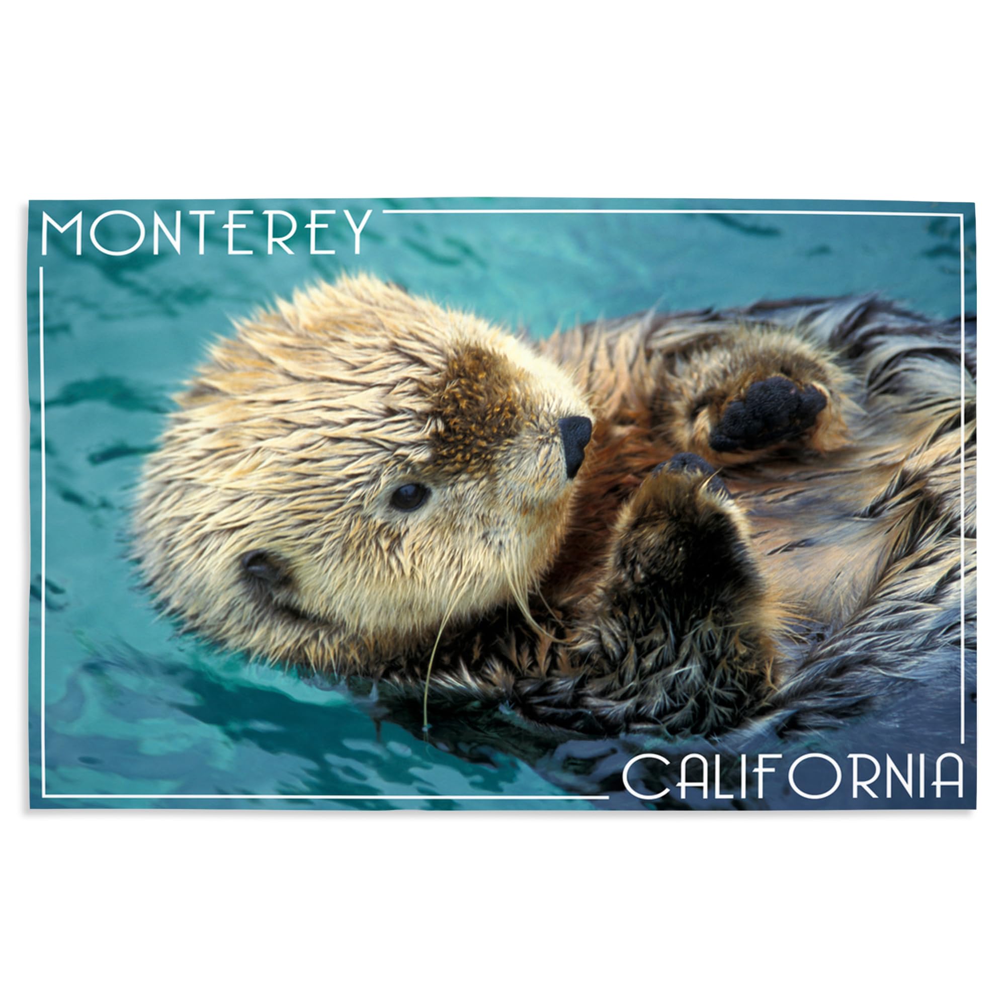 Lantern Press 16x24 Inch Giclee Print - Monterey California Sea Otter Photograph Wall Art - Perfect for Beach House Decor & Coastal Living Room
