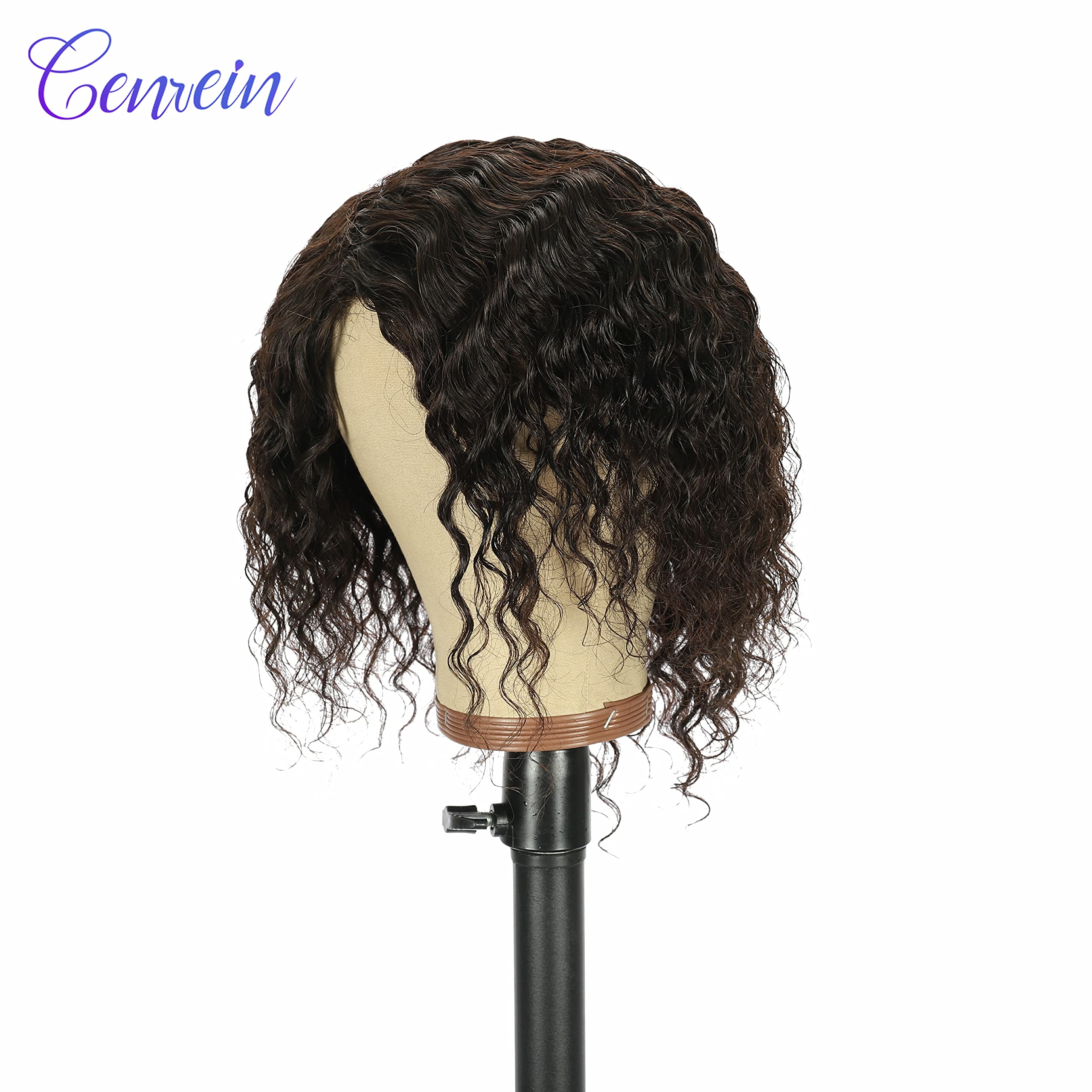 Brazilian Virgin Human Hair Wigs for Black Women - 180% Density Deep Curly Glueless Lace Front Wigs (12 Inch, #2 Dark Brown) | Perfect for Daily Wear, Cosplay & Special Occasions