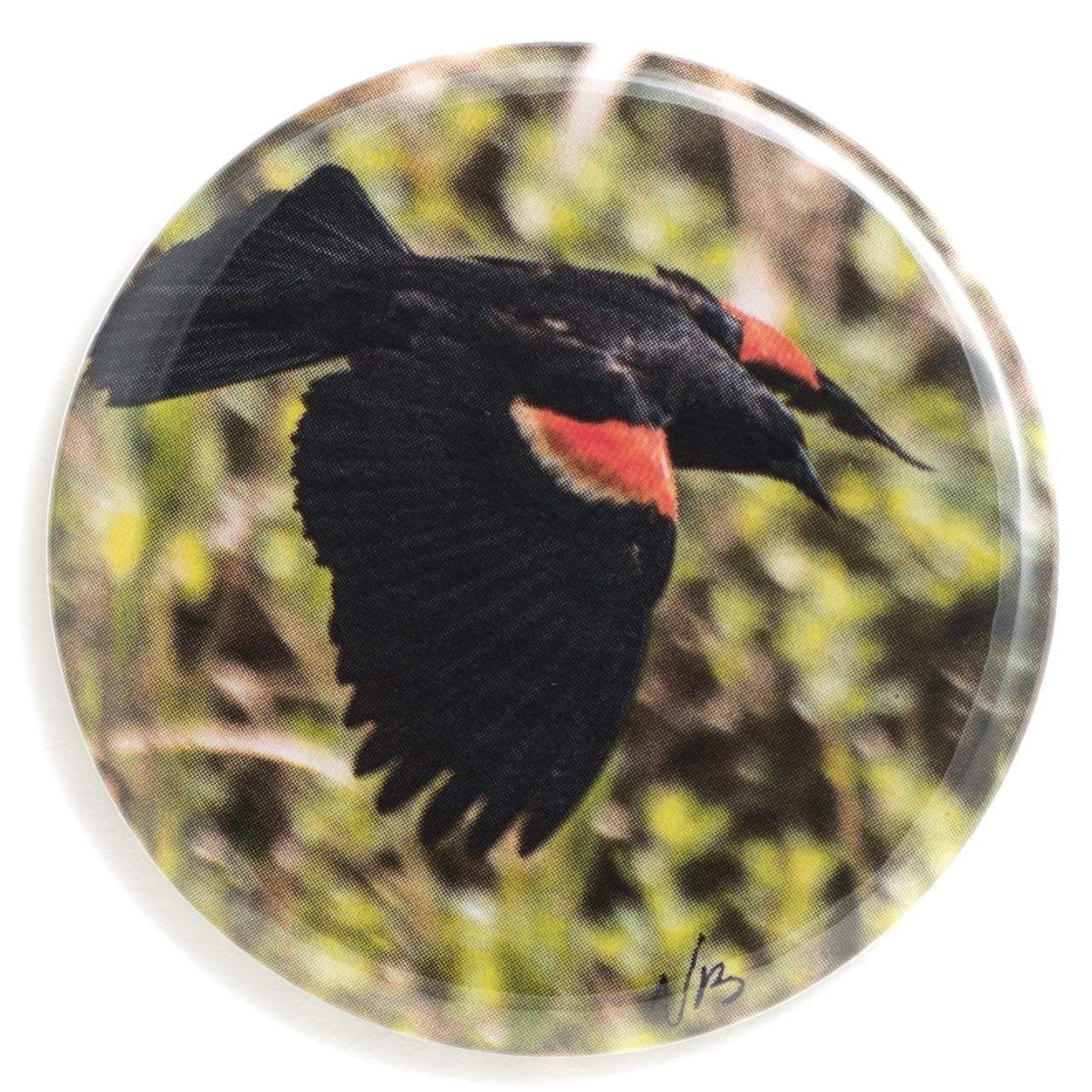Red Wing Blackbird Flat Art Purse Pocket Mirror - Compact Travel Makeup Mirror with Vintage Bird Design - Perfect for Handbags, Travel, and Everyday Use