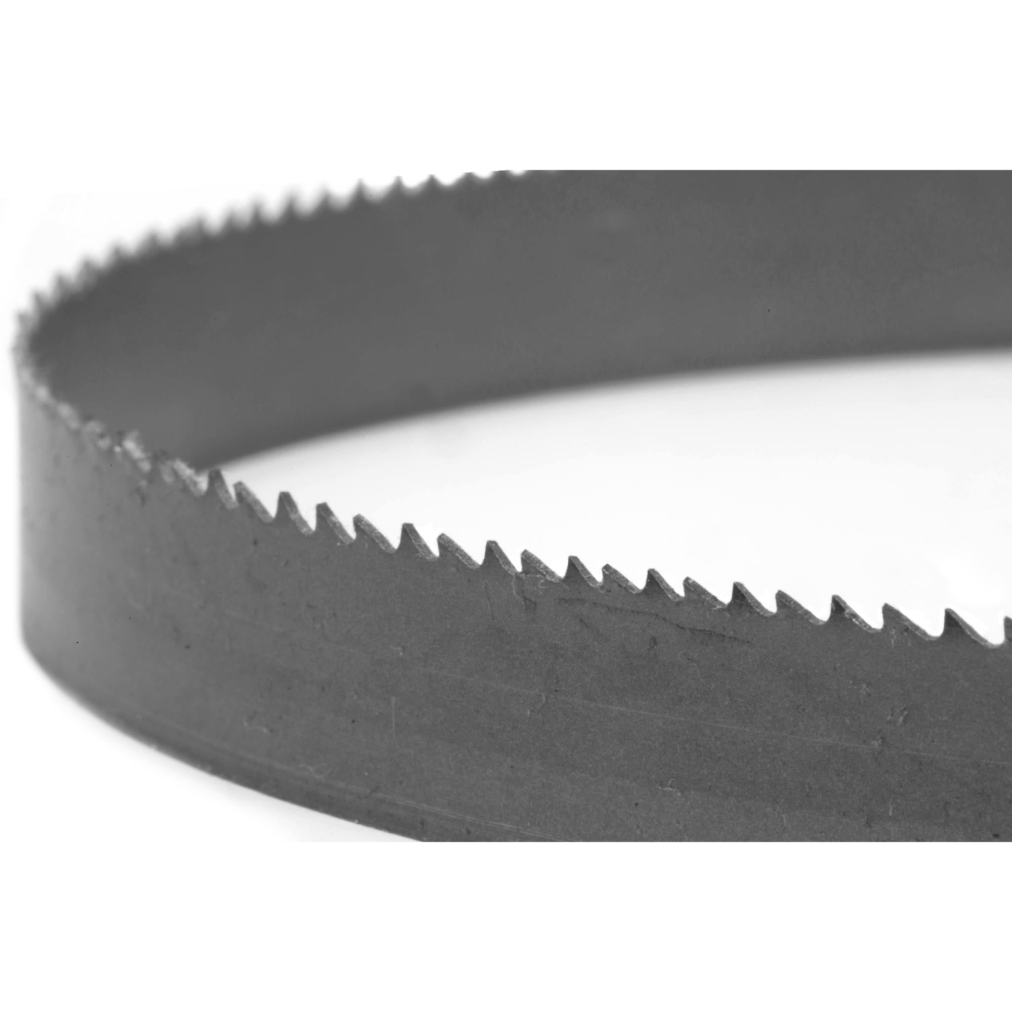 WEN BB4550 44.8 Inch Metal Bandsaw Blade - 10/14 TPI, 1/2 Inch Width for Cutting Steel, Aluminum & Wood - Perfect for DIY Projects & Metalworking