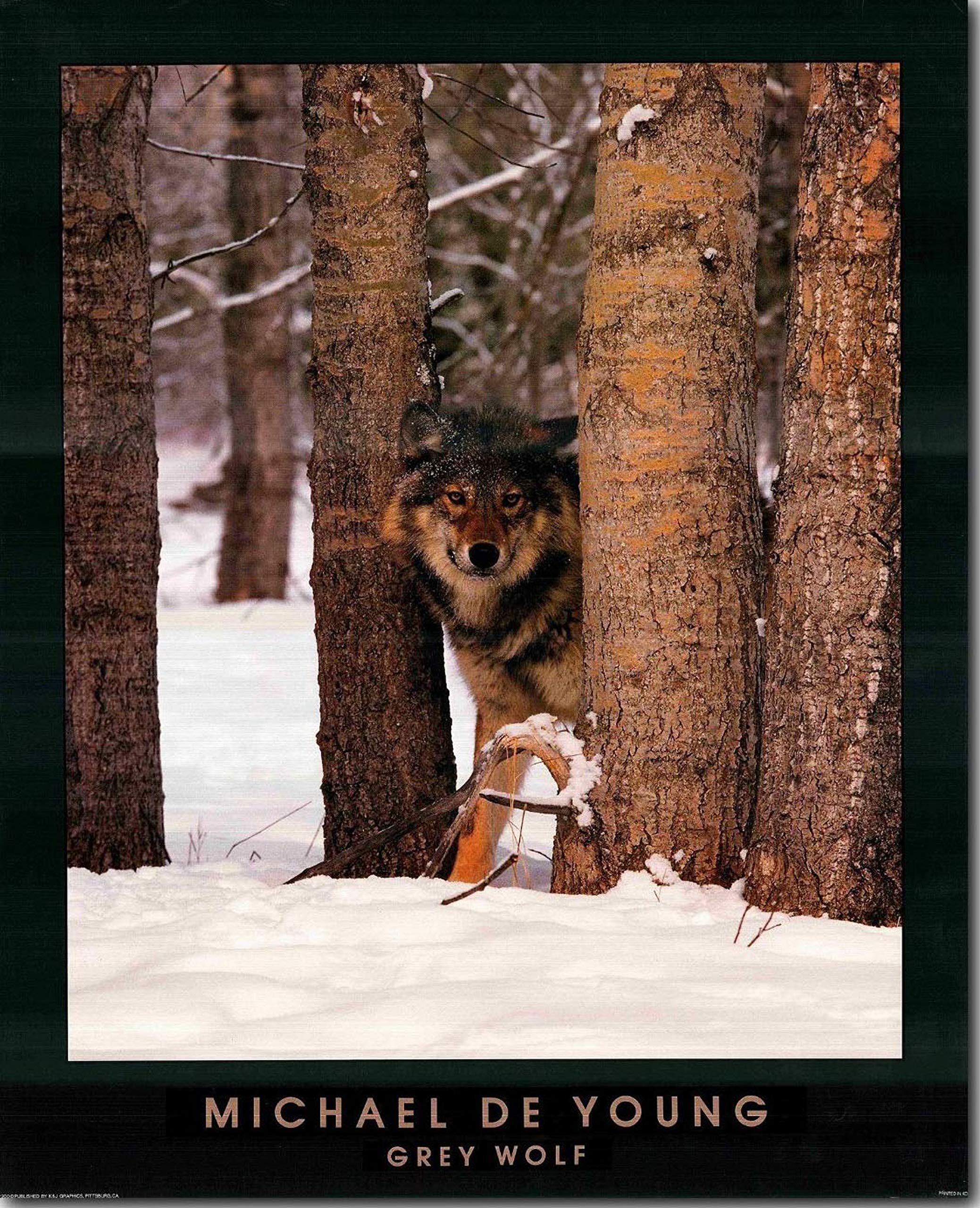 Native American Wildlife Wall Art - Yellowstone Falls & Grey Wolves Painting - Northwest Animal Decor Print Poster (22x28) - Perfect for Living Room, Bedroom or Office Decor