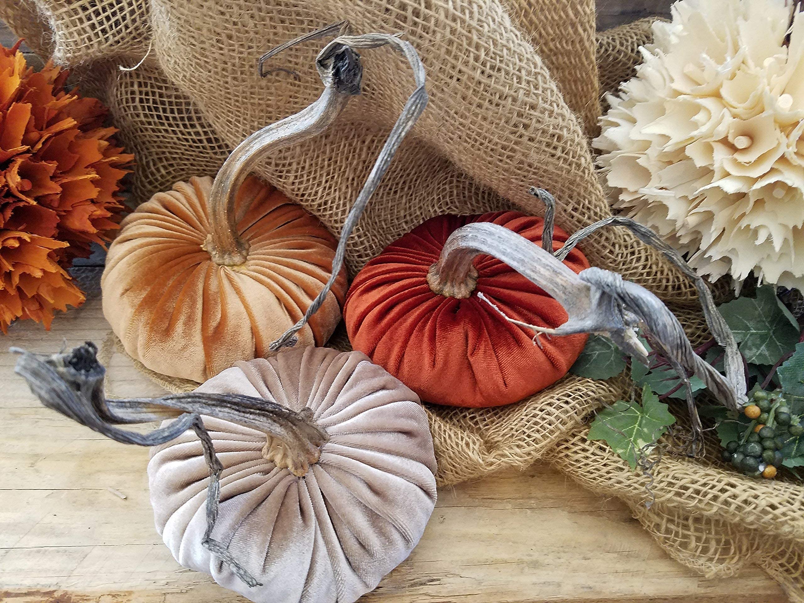 Velvet Pumpkins with Real Stems - Fall Harvest Decor for Thanksgiving, Autumn Home Decor & Seasonal Table Centerpieces