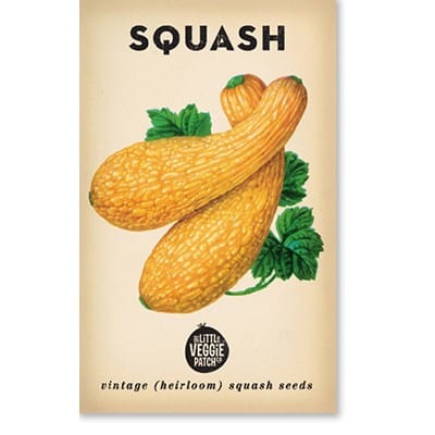 Little Veggie Patch Heirloom Seeds - Golden Summer Crook Neck Squash Seeds for Planting | Organic Non-GMO Garden Vegetables | Perfect for Home Gardening, Backyard Farming & Sustainable Living