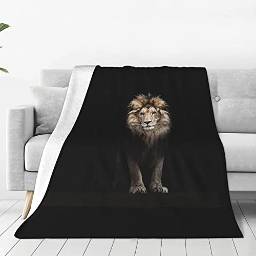Lion 04