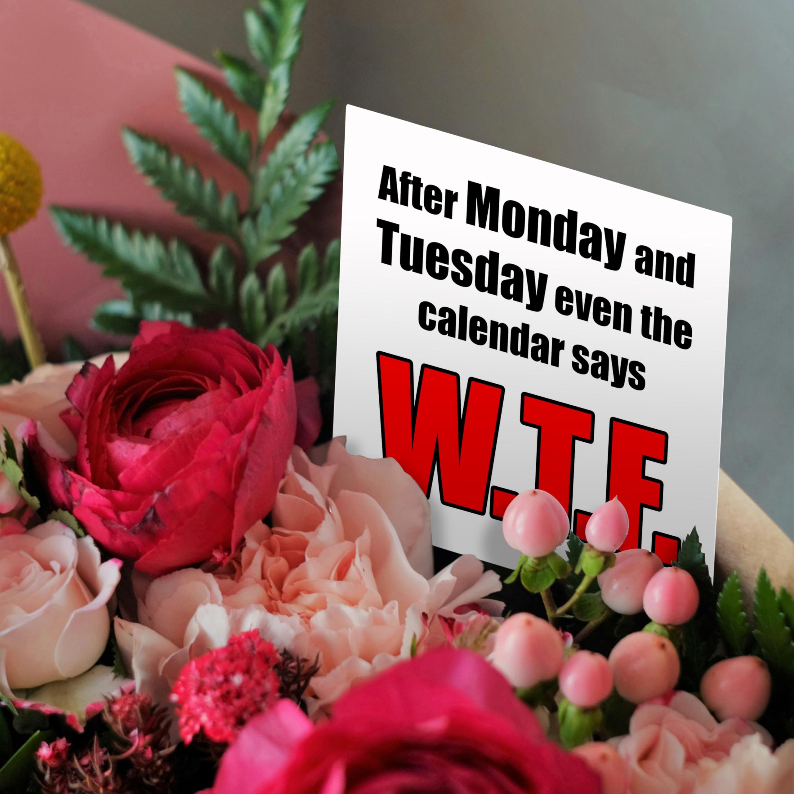 Funny WTF Calendar Quote Greeting Card - Humorous Monday & Tuesday Saying - Perfect for Office Gifts, Coworker Appreciation & Stress Relief