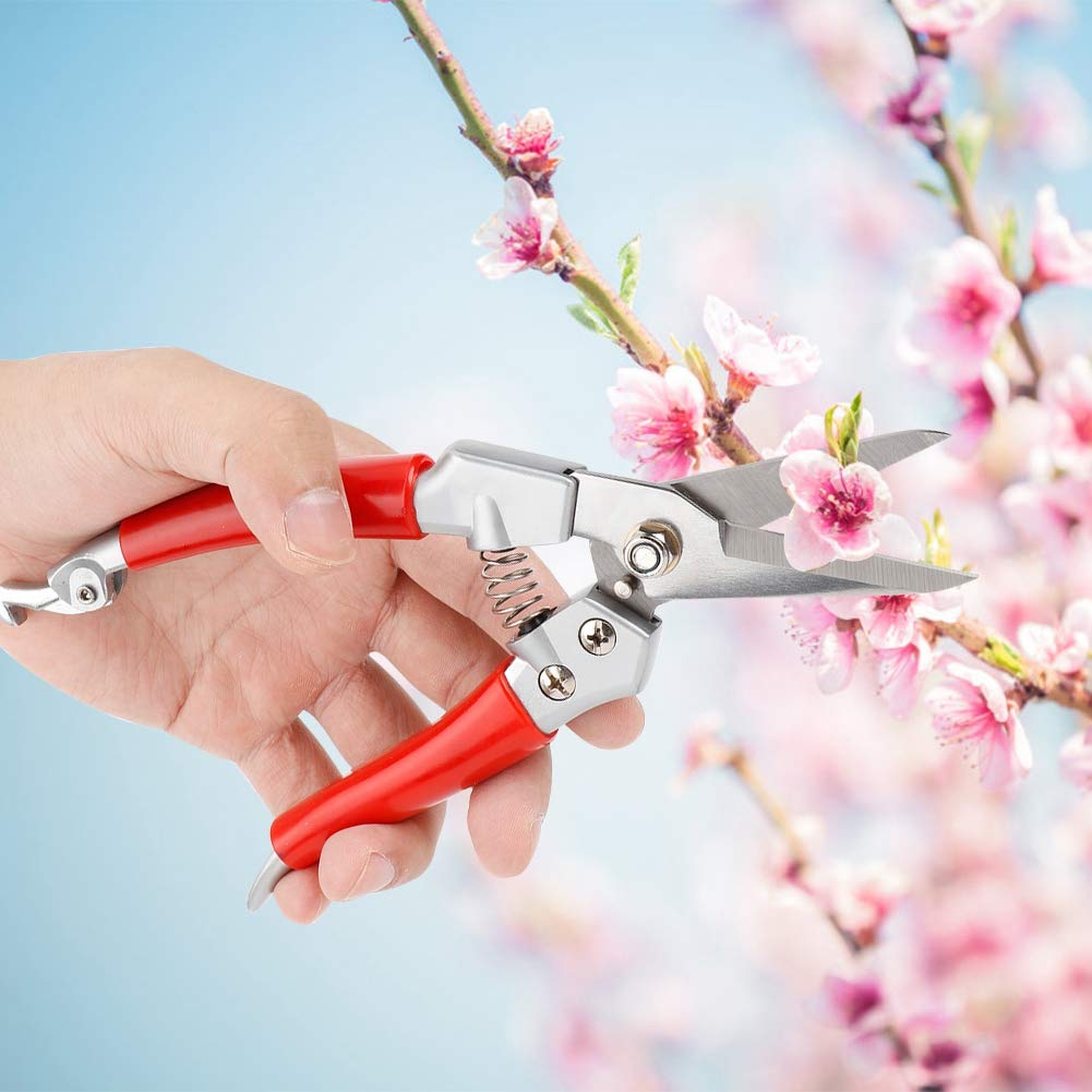 Premium Garden Pruners & Pruning Shears - Sharp Stainless Steel Blades, Ergonomic Red Handle for Comfort - Perfect for Trimming Plants, Shrubs, Flowers & Garden Maintenance (Ideal for Home Gardeners & Professional Landscapers)
