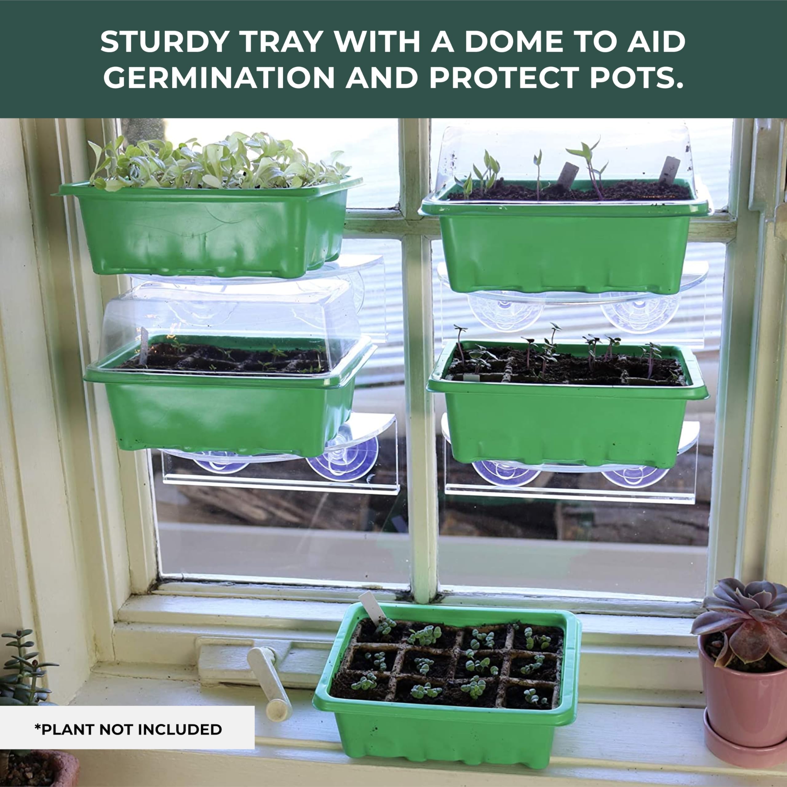 Eco-Friendly Seed Starter Kit (5 Pack) - Biodegradable Pots for Indoor Herb Garden