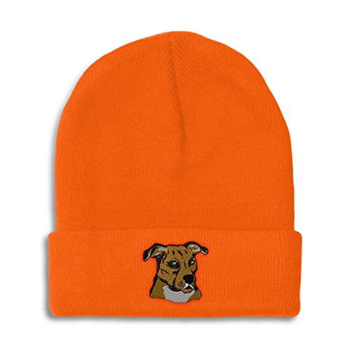 Orange Design Only