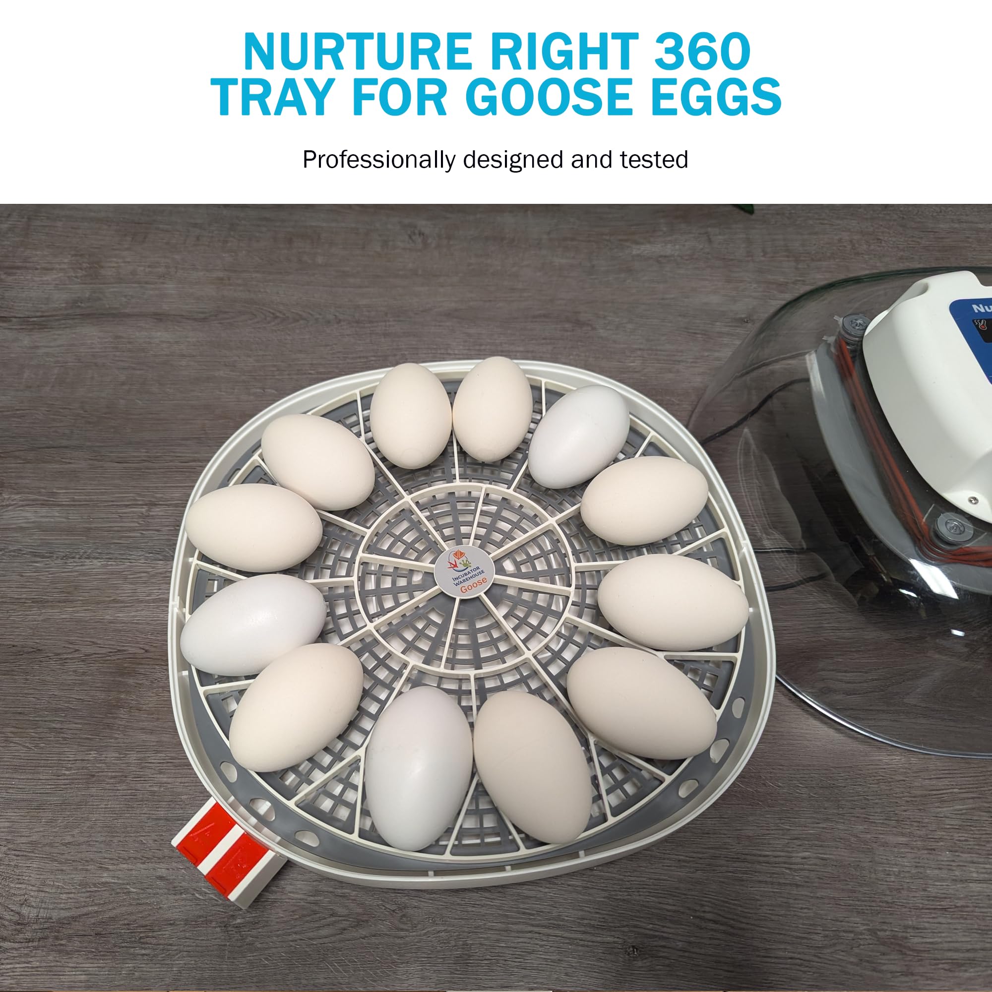 Durable Egg Trays for 11 Large Eggs - Goose/Turkey/Emu Egg Holder - Compatible with Nurture Right 360 Egg Incubator - Hand Washable Chicken Egg Keeper (Various Sizes) - Perfect for Poultry Farming, Egg Hatching & Farm Fresh Storage