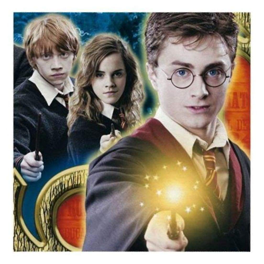 Harry Potter Themed Luncheon Napkins - 50 Pack, Disposable Party Supplies for Birthday, Wedding, Baby Shower & Halloween Decorations