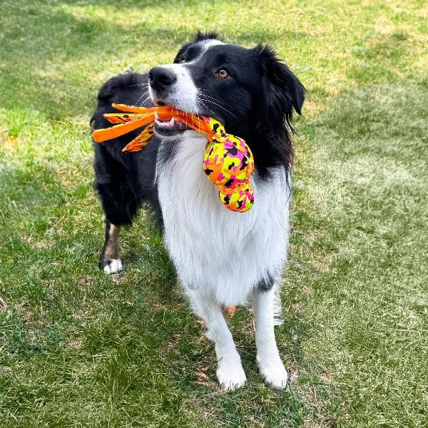 KONG Wubba Ballistic High Visibility Dog Toy - Durable Chew Toy for Large & Small Dogs - Perfect for Fetch, Training & Outdoor Play