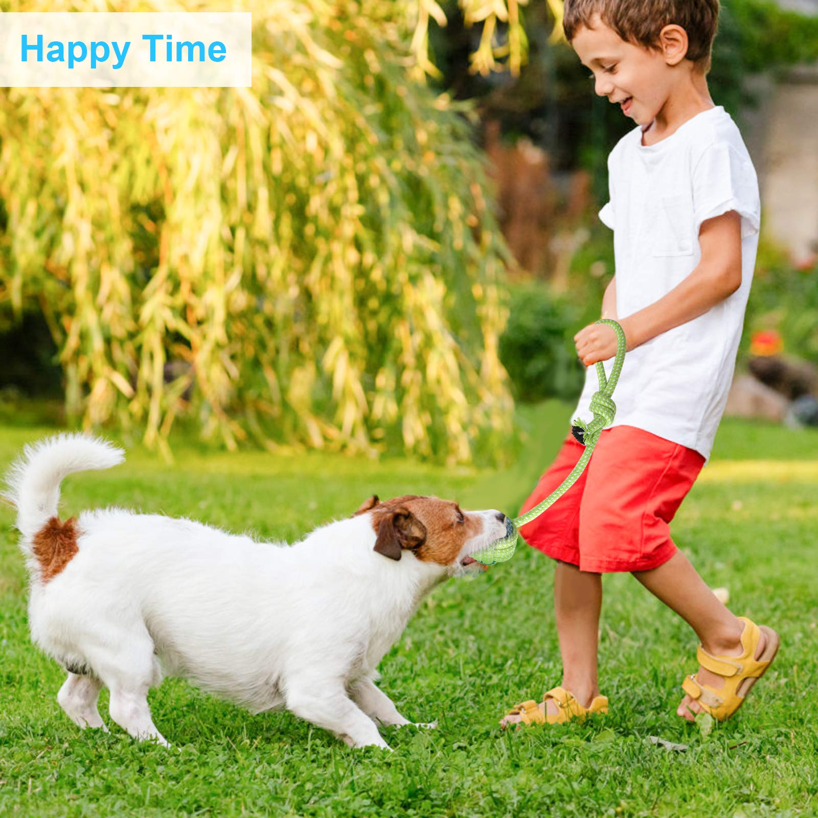 **Depets 4PCs Dog Rope Toy Set - Durable Puppy Chew Toys for Small Dogs & Puppies - Assorted Rope Knot Toys for Teething & Playtime - Perfect for Indoor & Outdoor Fun**
