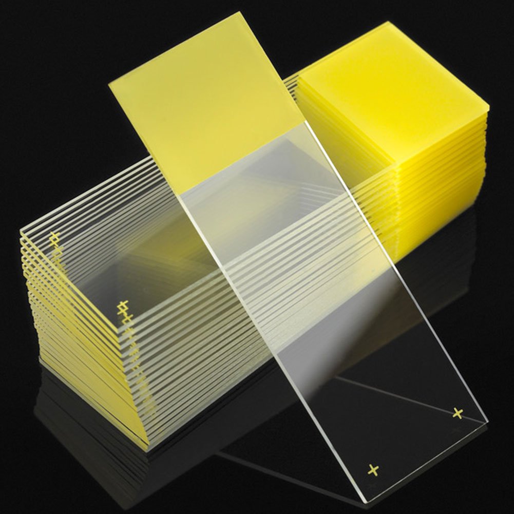 Globe Scientific Diamond 1358Y White Glass Microscope Slides, 25x75mm, Ground Edges, Yellow Frosted - 1,440 Slides for Laboratory, Research & Education - Perfect for Microscopy, Sample Analysis & Scientific Studies