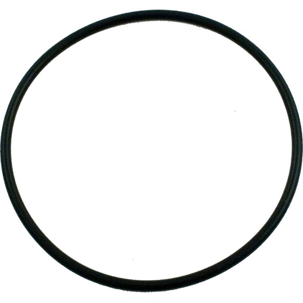Pentair 354533 O-Ring Lid Replacement for Sta-Rite Dynamo Aboveground Swimming Pool Pump – Durable Seal for Leak-Free Performance in Pool Maintenance