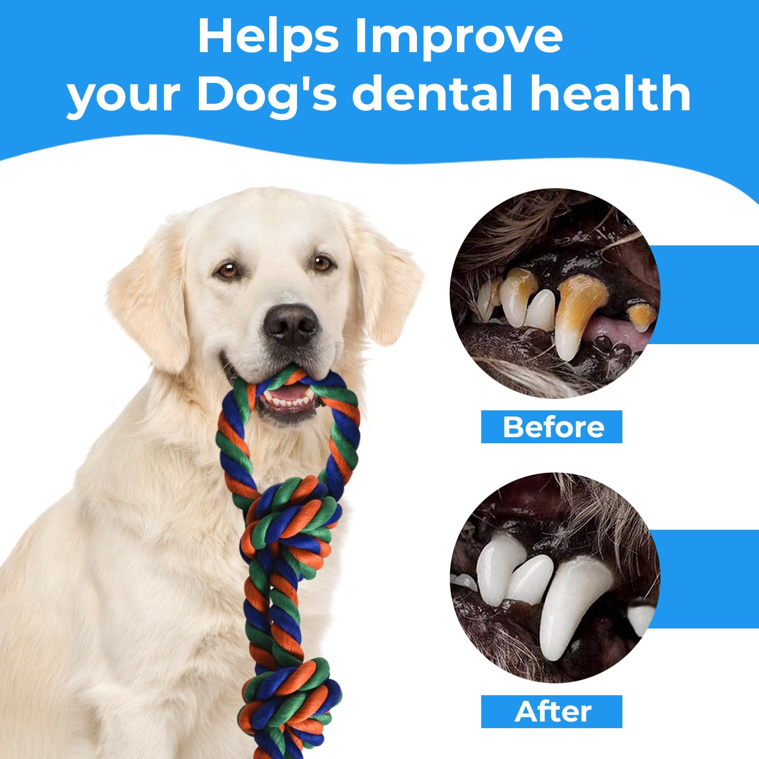 Stride Dog Rope Toys - 2 Pack Indestructible Chew Toys for Large Aggressive Chewers | Durable Cotton Rope for Teeth Cleaning, Tug of War & Anxiety Relief | Perfect for Playtime, Training & Outdoor Activities