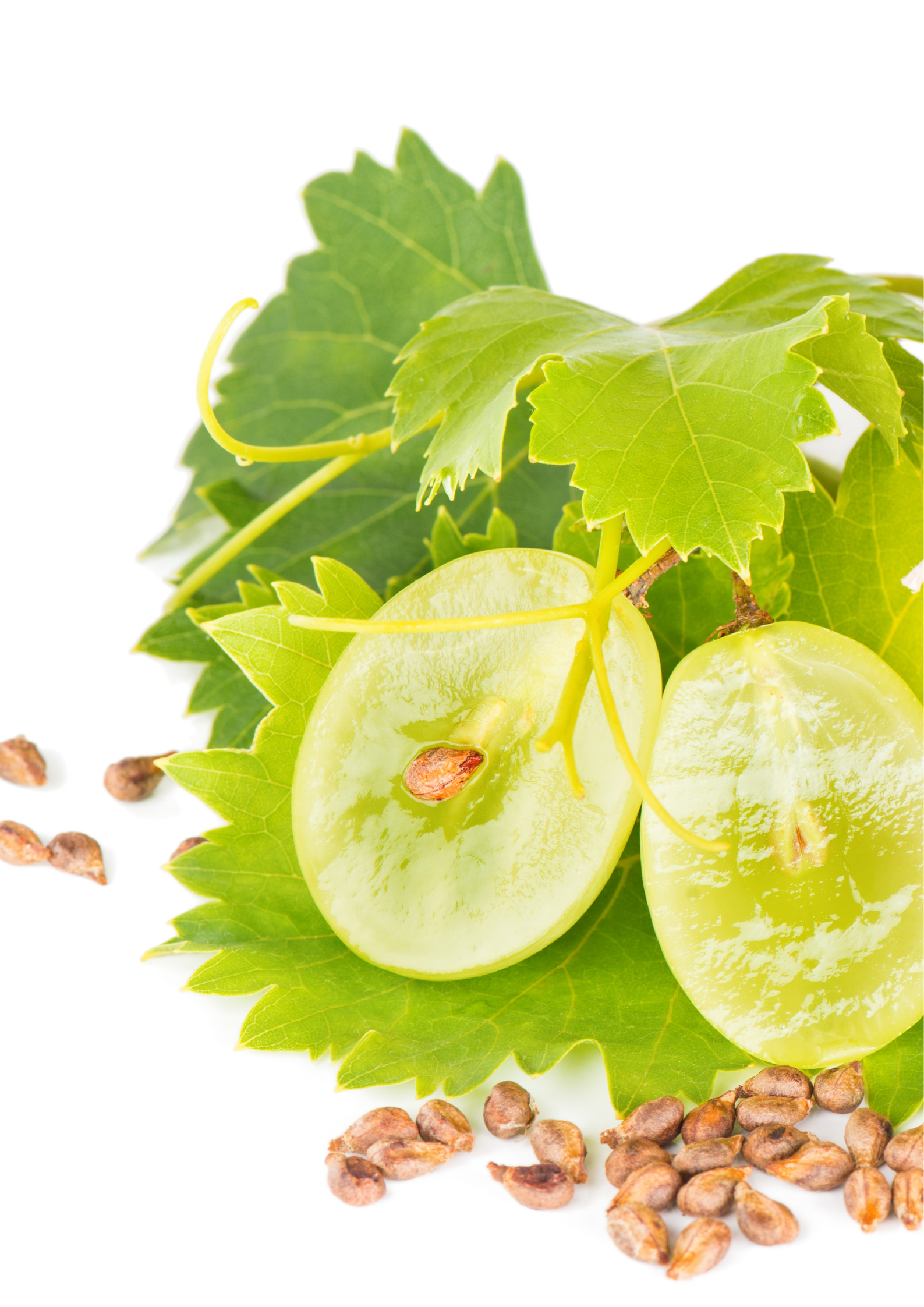 Pure Organic Grapeseed Oil for Cooking & Skin Care - Cold Pressed, Unrefined, Rich in Antioxidants - Perfect for Salad Dressings, Massage & Hair Treatments