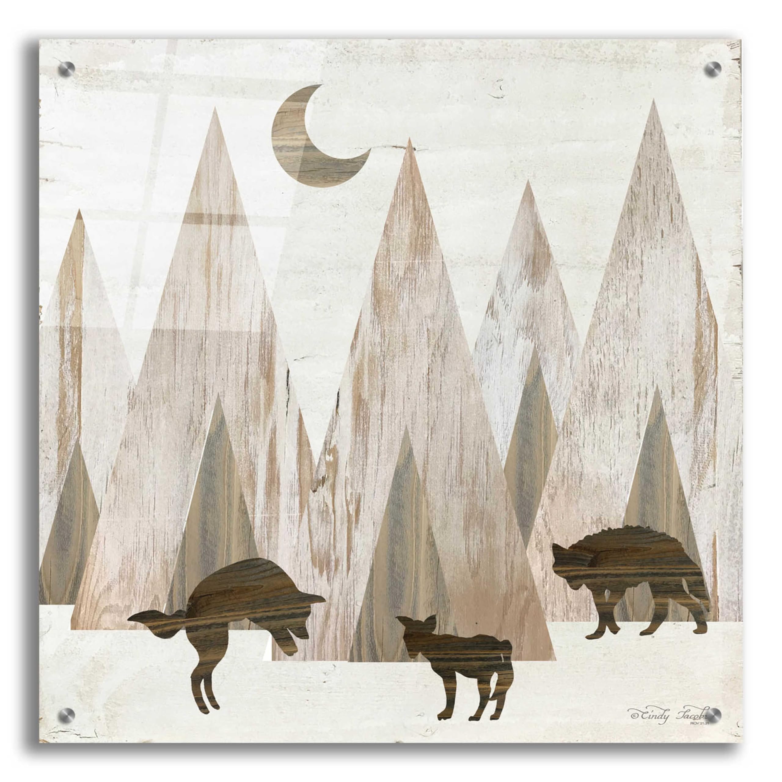 Epic 'Night Play' Acrylic Glass Wall Art by Cindy Jacobs - 24