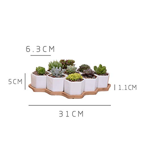 Zamtac Set of 9 White Ceramic Hexagon Flower Pots with Bamboo Stand - Succulent Planters, Bonsai Pots for Home Decor, Office Desk & Garden Display