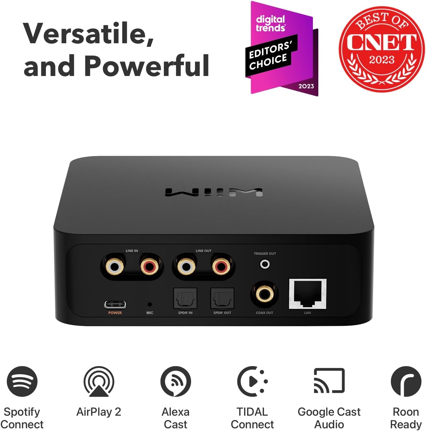 WiiM Pro Wireless Hi-Fi Audio Streamer & Preamplifier - Multiroom Music Streaming for Home Theater & Audiophile Systems
