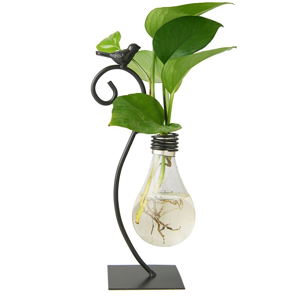 Marbrasse Glass Hydroponic Planter Bulb Vase with Holder - Modern Creative Terrarium Stand for Scindapsus, Pothos & Air Plants | Perfect for Home Office Desk Decor, Indoor Gardening & Gift Ideas