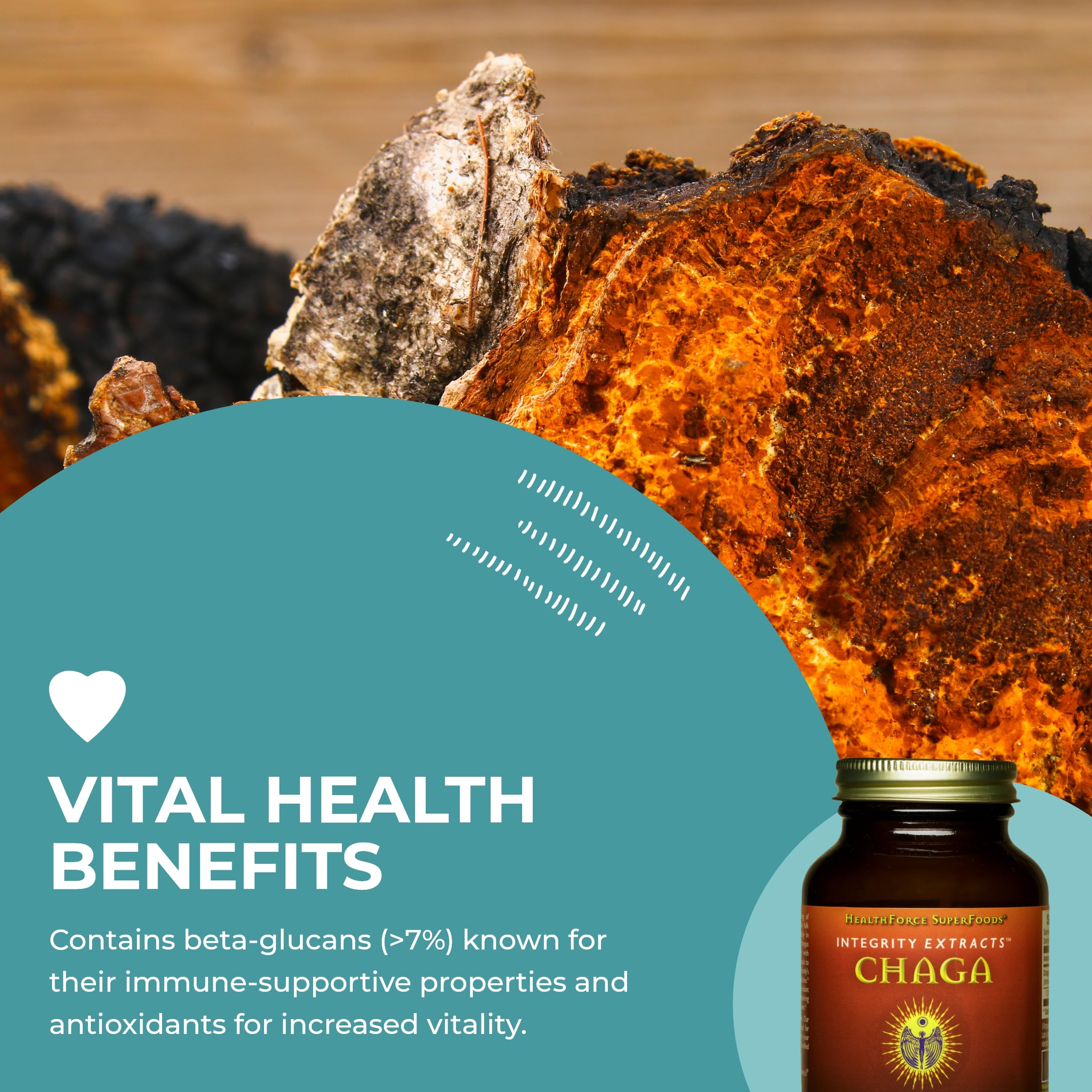 HealthForce SuperFoods Organic Chaga Mushroom Powder - 70g | Immune Support & Antioxidant Boost | Perfect for Smoothies, Tea & Wellness Drinks