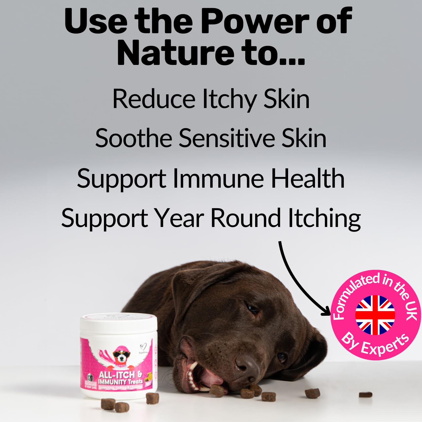 NutriPaw All-Itch Immunity Dog Treats - Soothe Itchy Skin, Paws, Ears & Eyes - Stop Excessive Licking & Scratching - Allergy Relief for Small, Medium & Large Breeds - Supports Seasonal Allergies & Hot Spots - Perfect for Outdoor Adventures & Daily Comfort