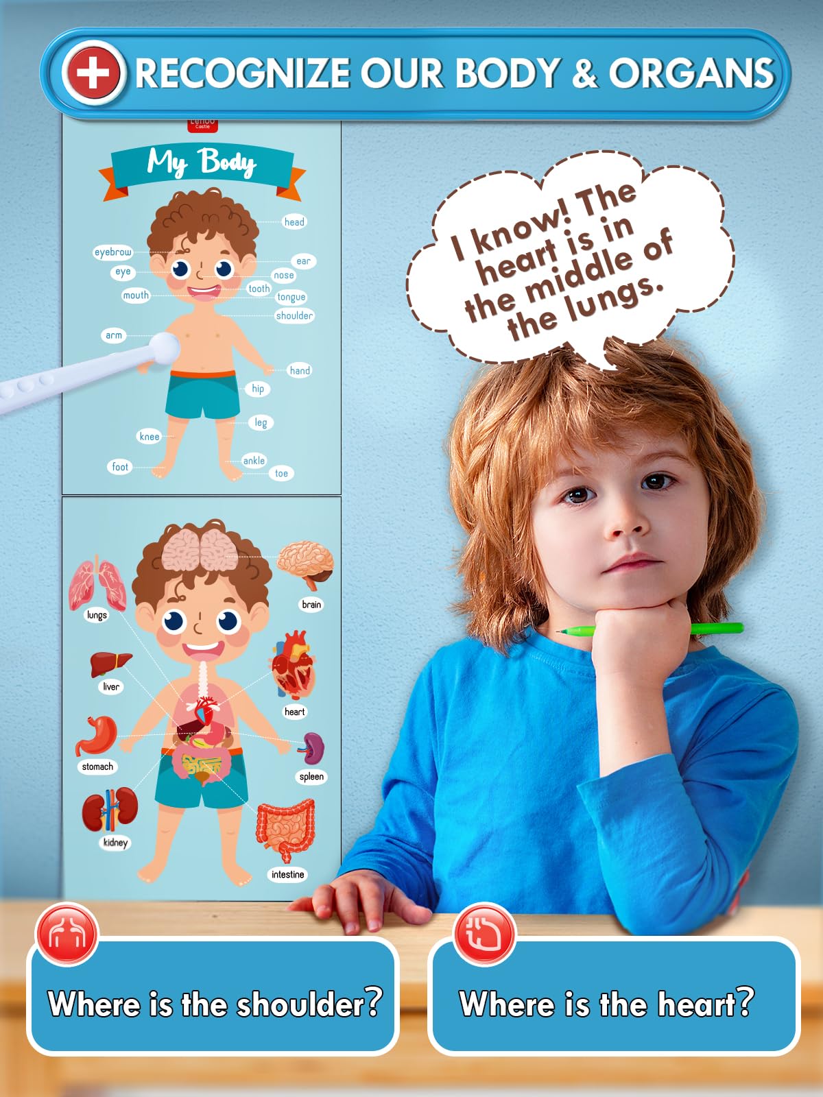 Lehoo Wooden Doctor Play Set for Kids Ages 3-6 - Pretend Play Medical Kit with Stethoscope, Toy Doctor Tools for Boys & Girls - Perfect Gift for Toddlers & Preschoolers | Role Play, Learning & Imagination Development