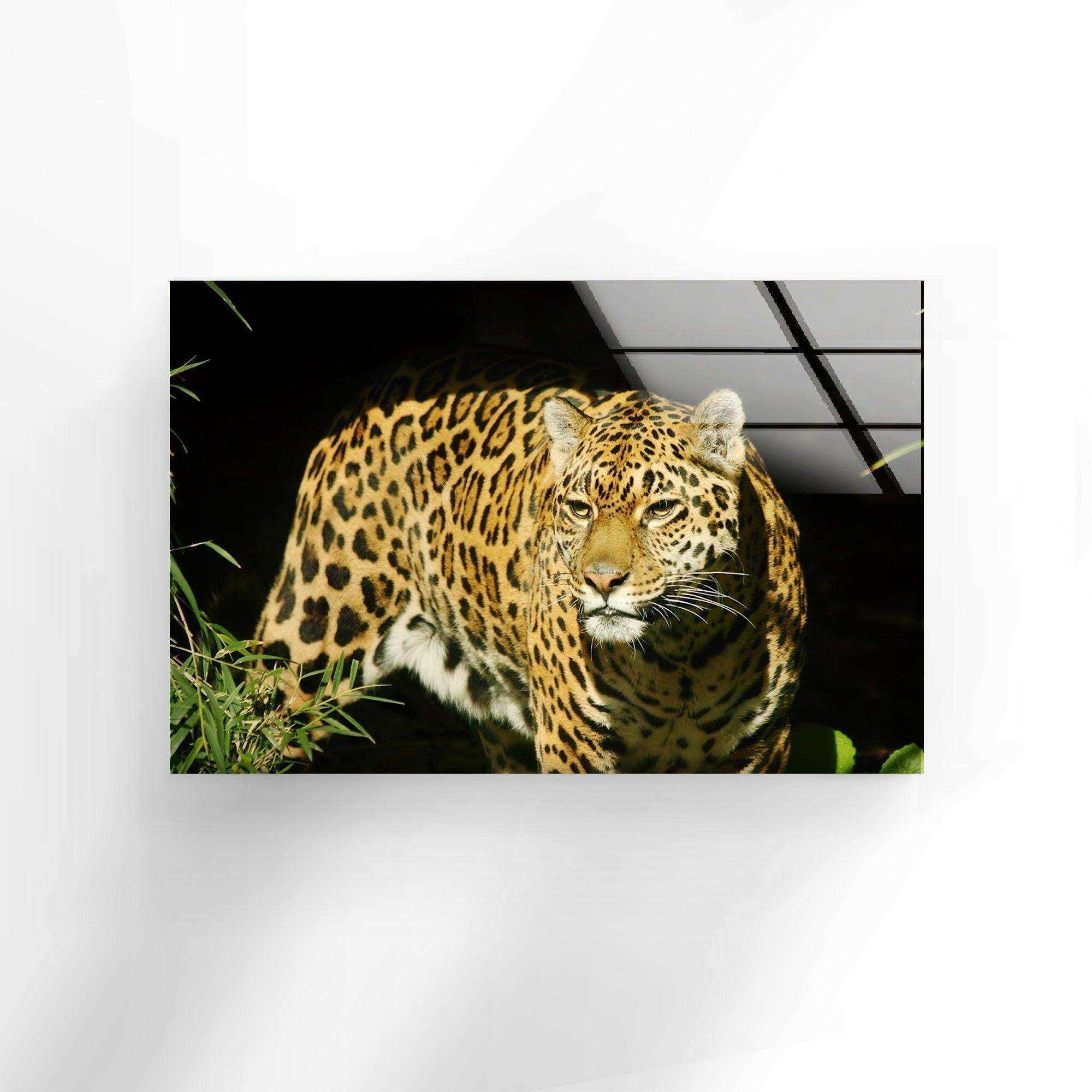 Stunning Amur Leopard Glass Wall Art - Handmade Wildlife Home Decor for Living Room, Bedroom & Office - Unique Animal Print Glass Panel