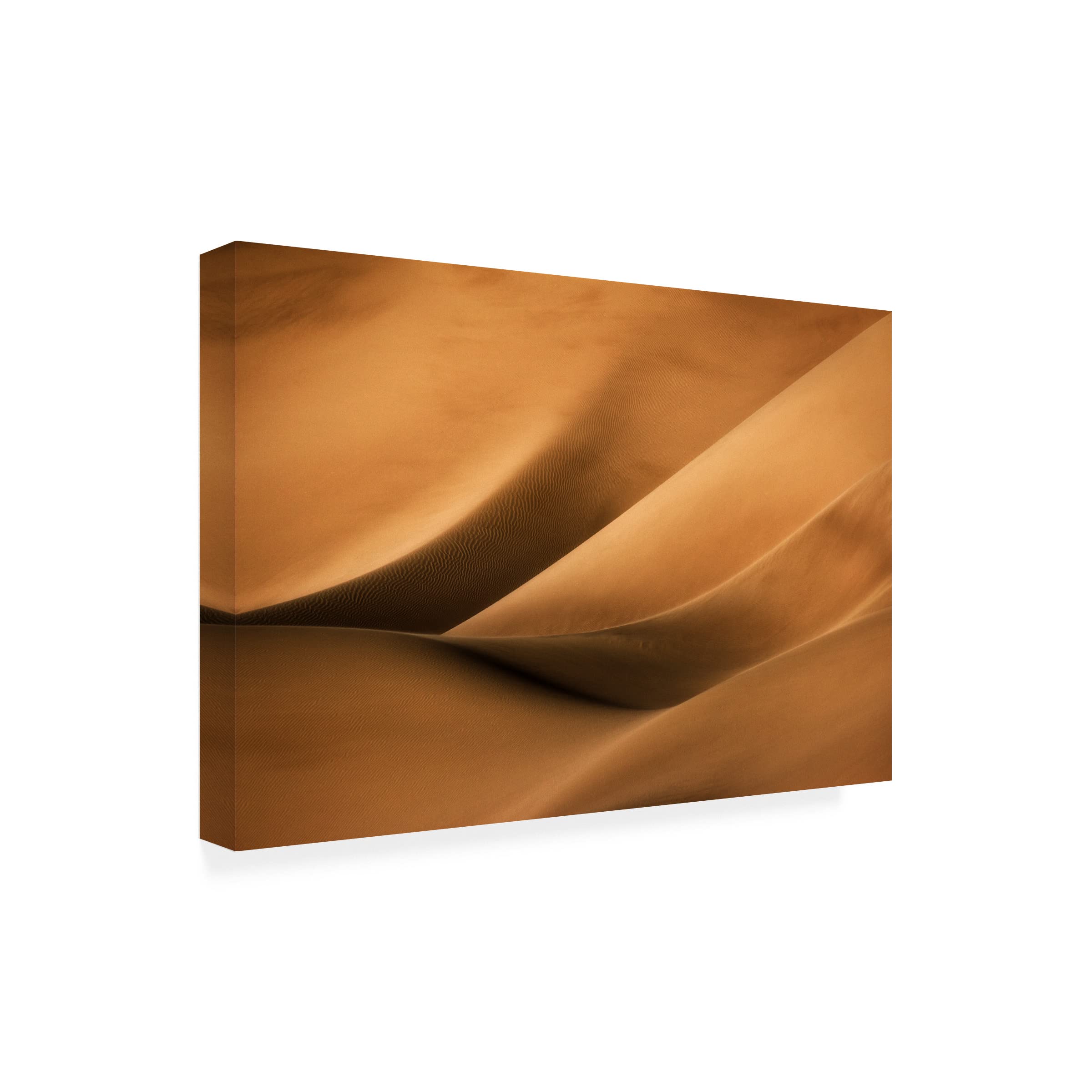 Babak Mehrafshar 'Dunes' Canvas Wall Art Print - Modern Desert Landscape Painting for Living Room, Bedroom & Office Decor