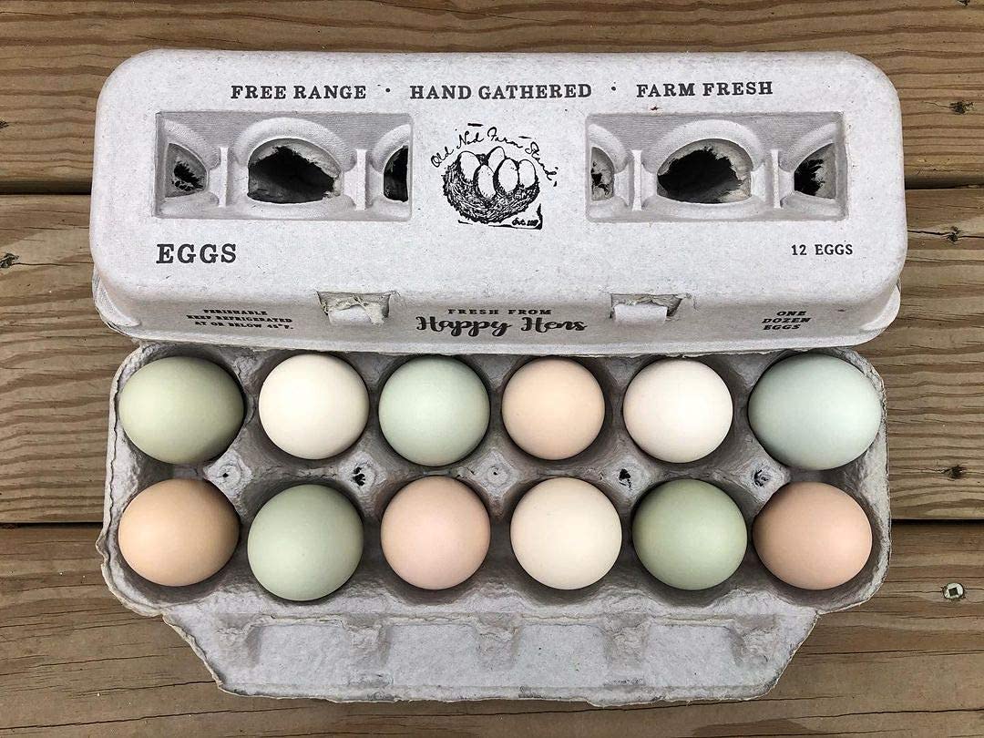 Eco-Friendly Recycled Paper Egg Cartons - Holds 250 XL Chicken Eggs, Sturdy & Reusable with Adorable Printed Design for Farm Fresh Eggs | Perfect for Farmers Markets, Organic Egg Packaging & Sustainable Food Storage