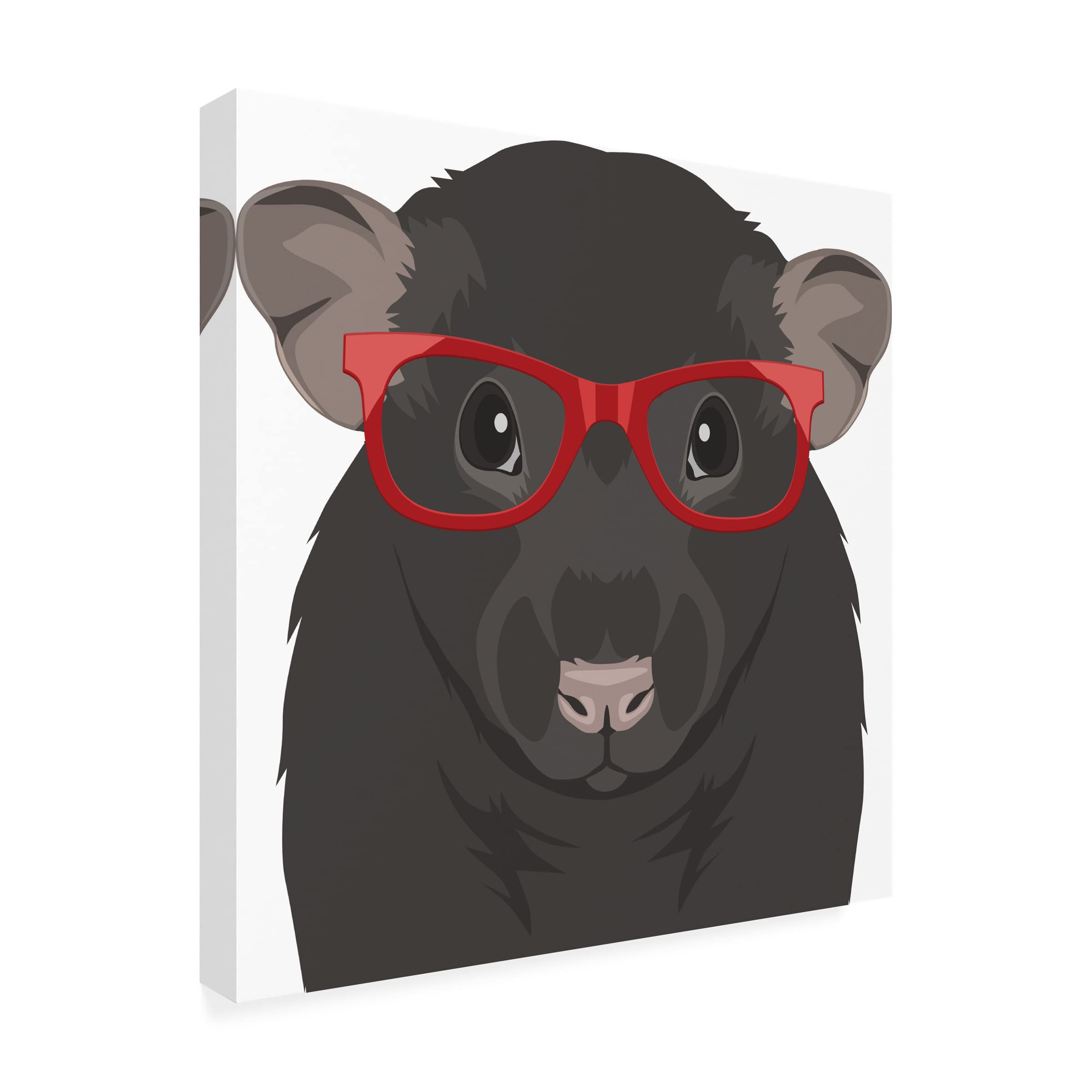 Trademark Fine Art 'Rat Wearing Hipster Glasses' Canvas Wall Art Print by Furbaby Affiliates - Unique Home Decor for Living Room, Bedroom & Office