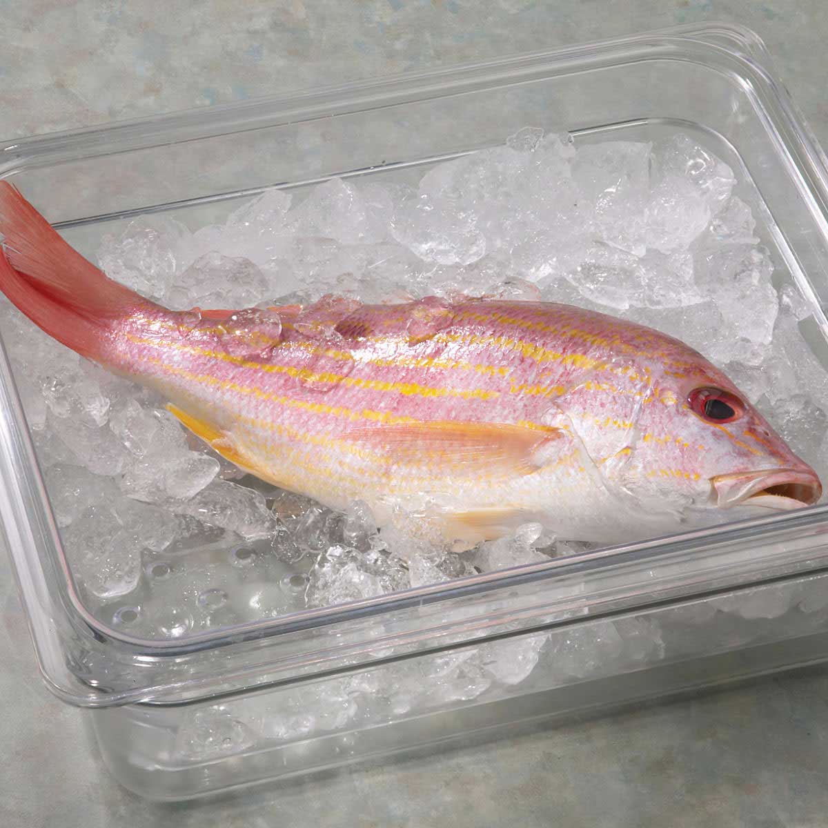 Cambro 23CLRCW135 Clear 1/2 Size 3