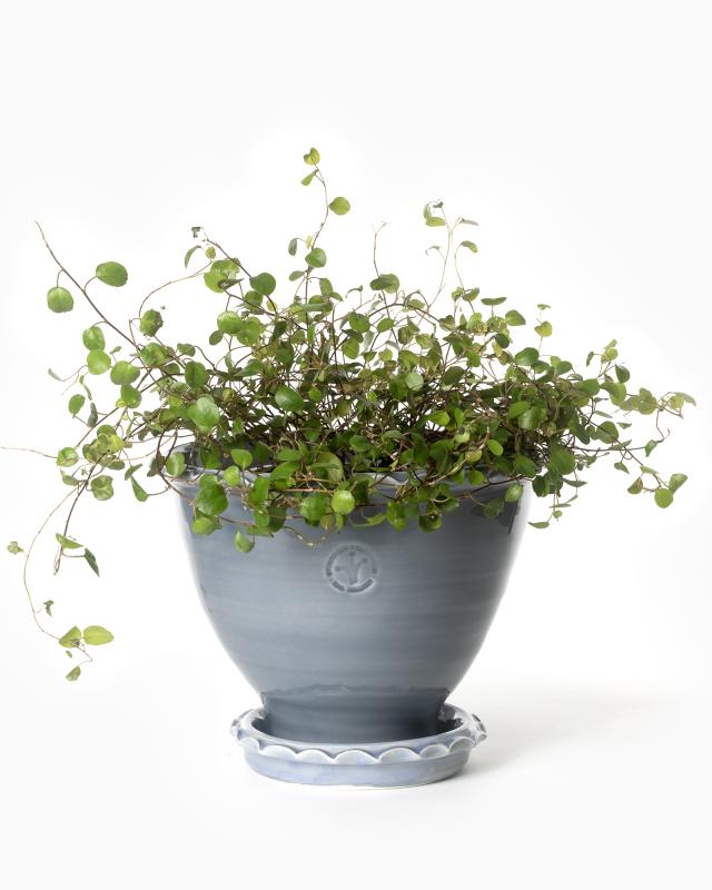 Kruka Sturehof Adelcrantz 17cm Gray Ceramic Flower Pot - Perfect for Indoor Plants, Succulents, and Home Decor