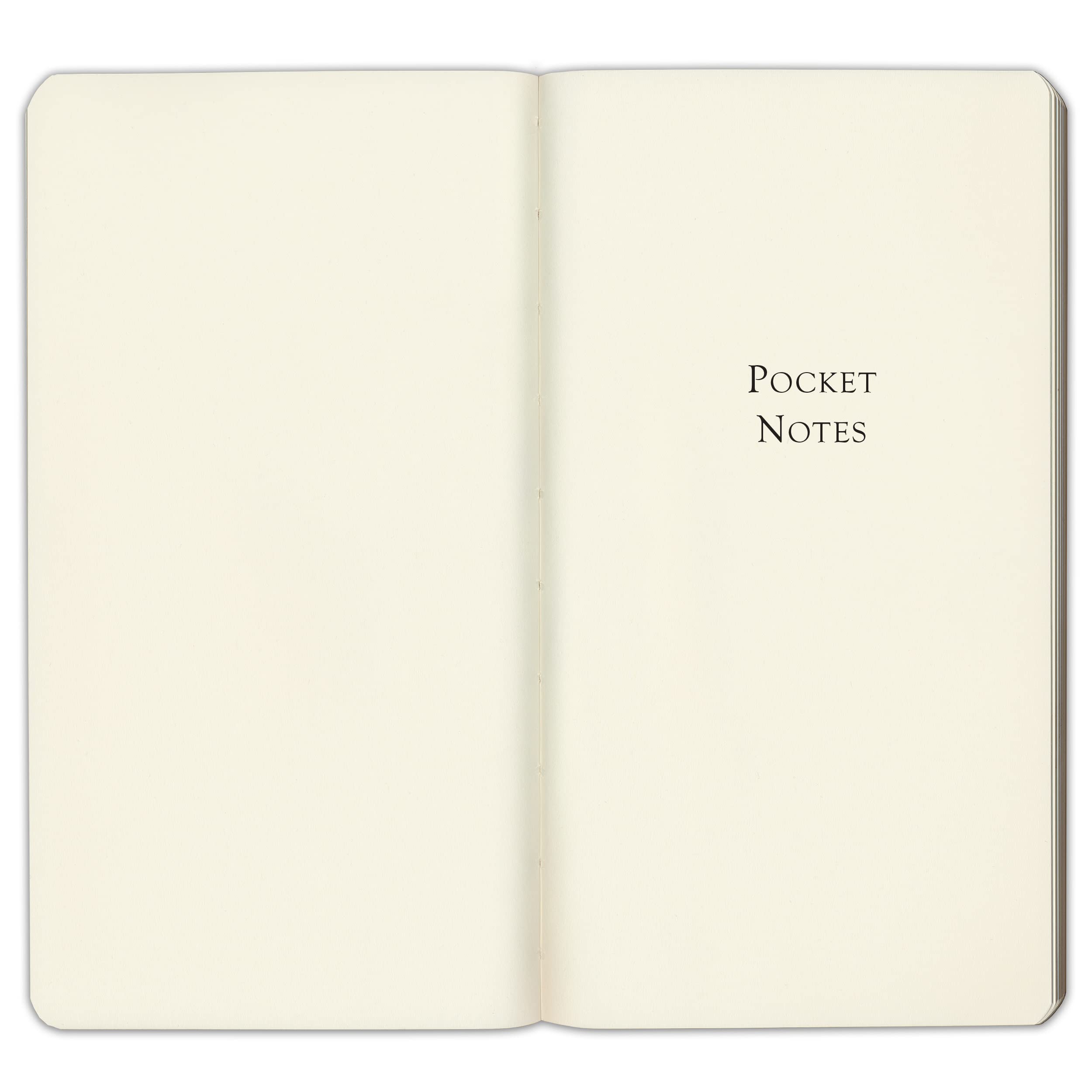 Premium Handcrafted Leather Journal Notebook - 160 Pages Softcover Writing Diary for Men & Women - Acadia Malibu 6