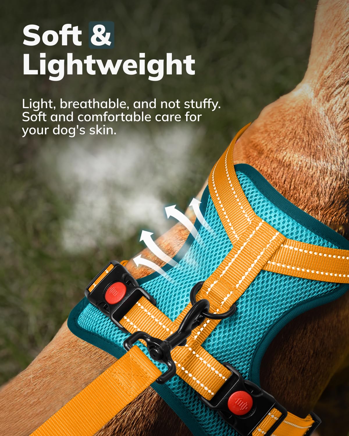 MIDOG No-Pull Dog Harness - Adjustable Reflective Pet Harness with Front Clip & Soft Padding for Small Medium Large Dogs | Walking, Training & Outdoor Adventures | Easy Control Handle for Comfort & Safety (Blue, Medium)