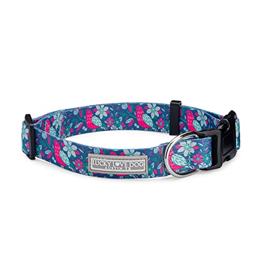 CarrieBelle Collar Only