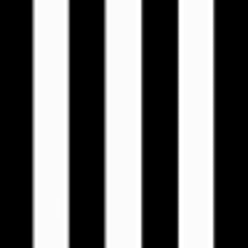 Black Cabana Stripe