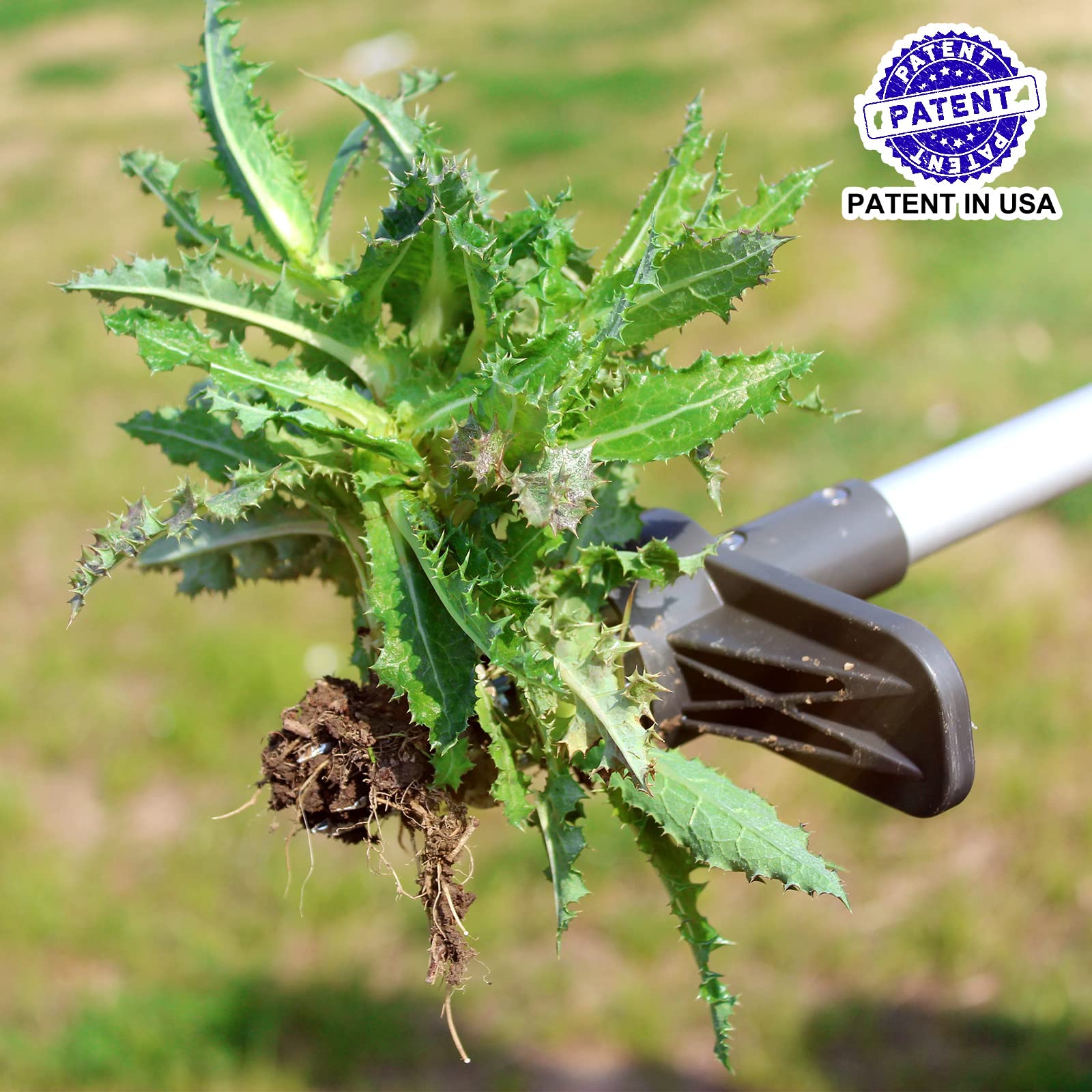 Upgraded Walensee Weed Puller Tool - 5-Claw Stand Up Weeder with Long Handle for Dandelions & Garden Weeds - Ergonomic Root Pulling Tool for Easy Lawn Care & Gardening (1 Pack) - Perfect for Home Gardens, Yards, and Landscaping Maintenance
