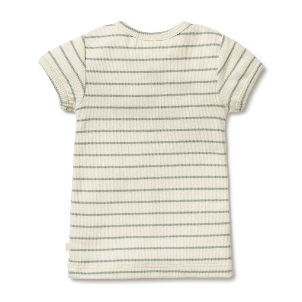 Organic Cotton Henley Tee for Women | Soft & Comfortable Casual Shirt | Perfect for Everyday Wear, Layering & Outfits