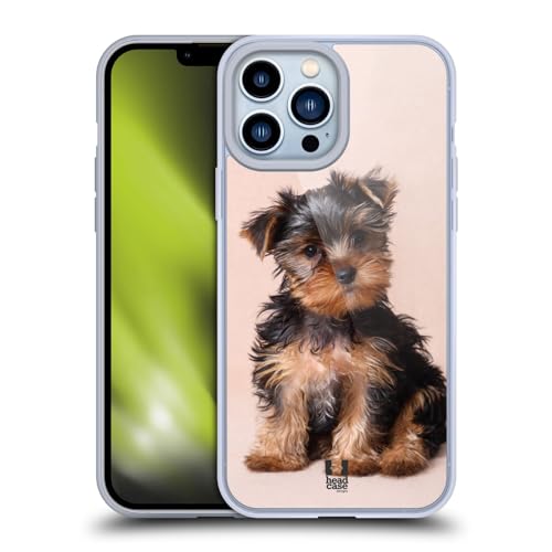 Yorkshire Terrier Puppy