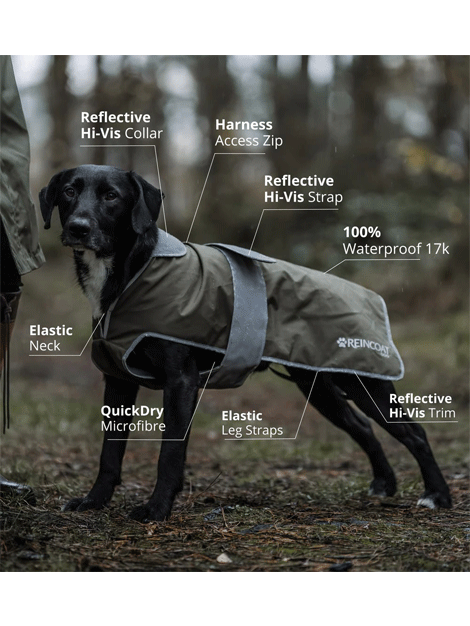 ReinCoat Waterproof Dog Coat for Small Medium Large Dogs - Warm Winter Jacket with Reflective Strips for Outdoor Walking, Hiking & Camping