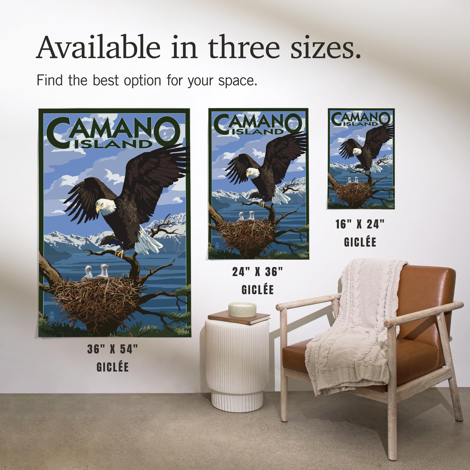 Lantern Press 16x24 Inch Giclee Print - Camano Island Washington Bald Eagle and Chicks Wall Art - Perfect for Home Decor, Office & Gift Giving