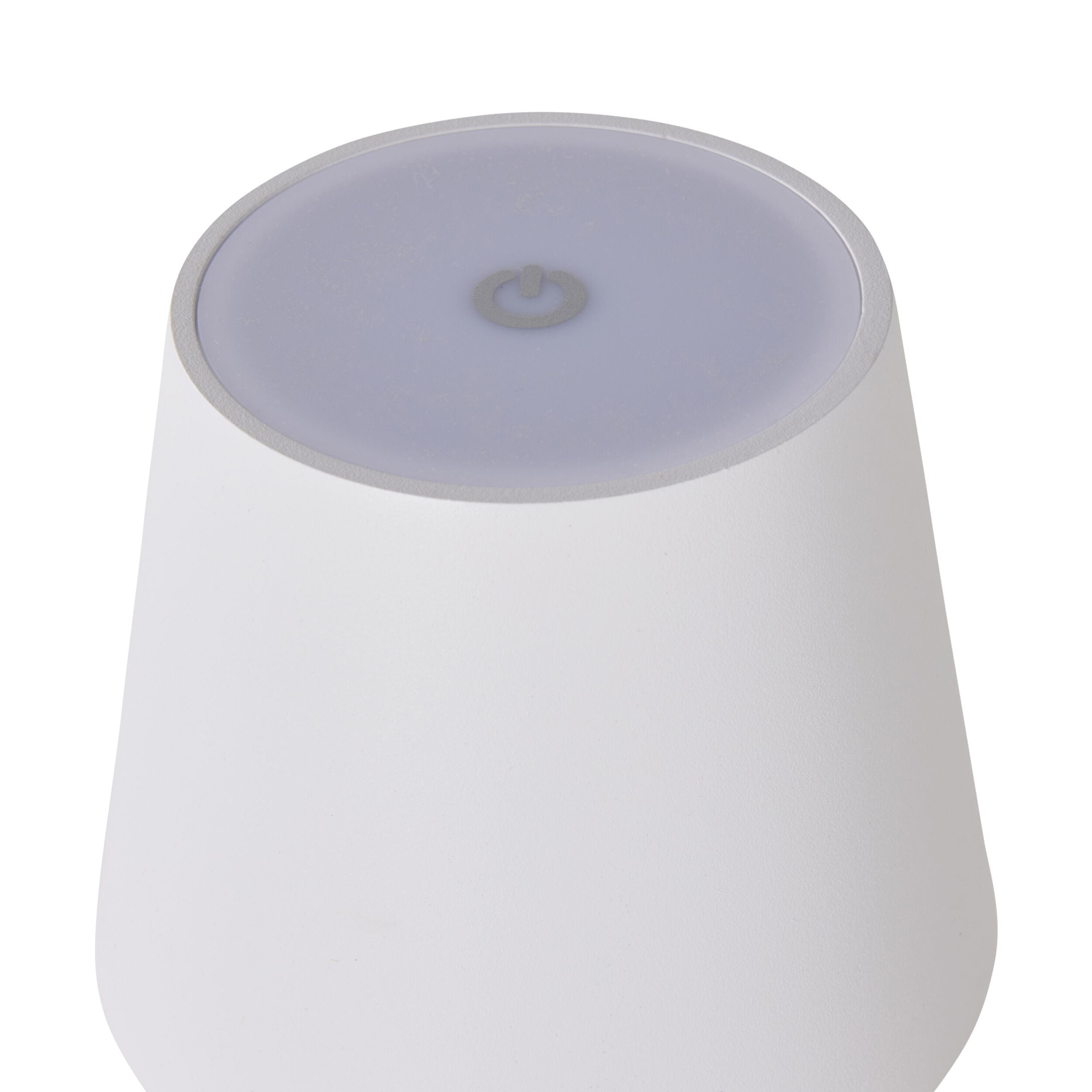Alexa Palm Leaf Portable LED Lamp - 29cm Height, Battery Operated, Perfect for Outdoor Patio, Camping, and Home Decor