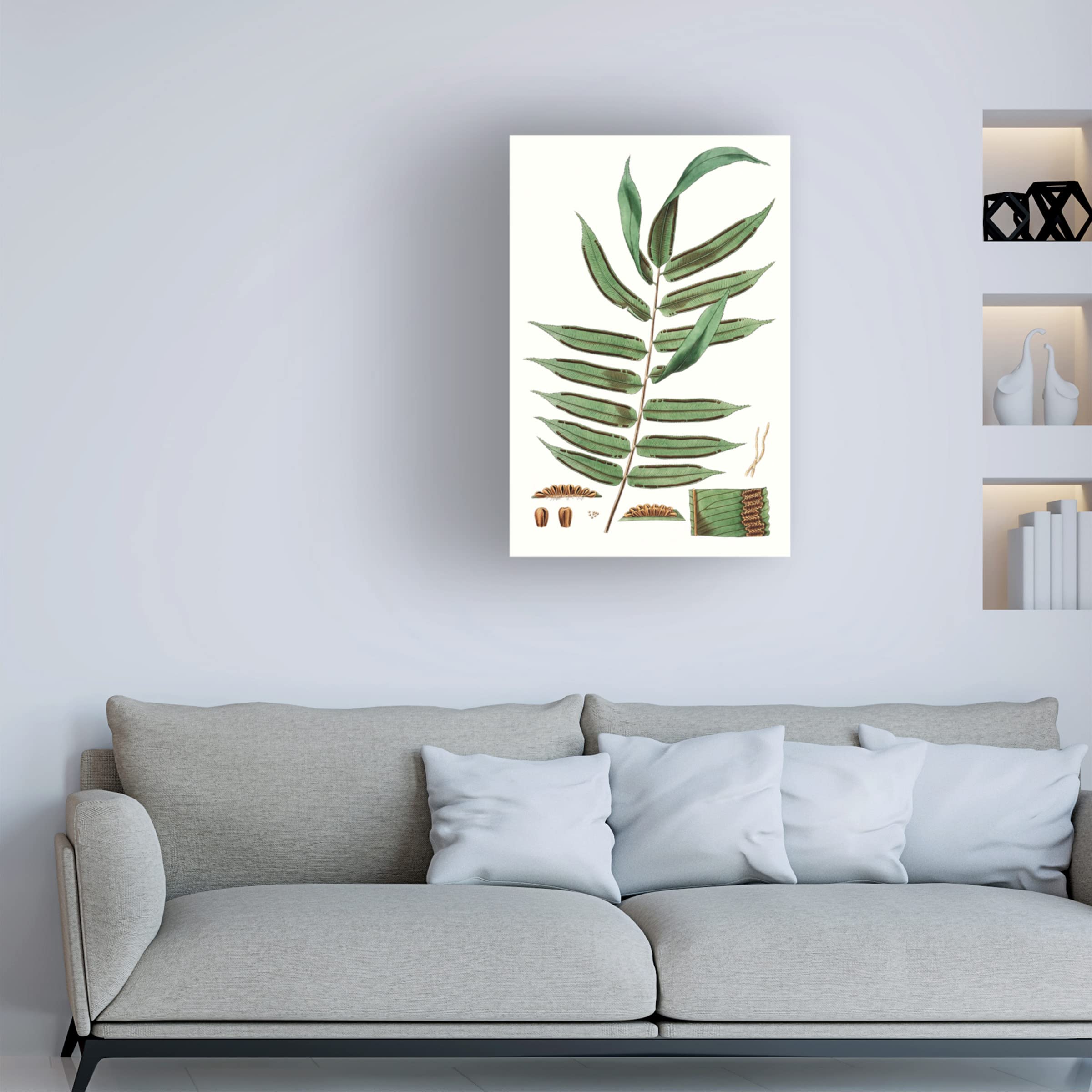 Trademark Fine Art 'Fern Foliage I' Canvas Wall Art Print by Vision Studio - Perfect for Living Room, Bedroom & Office Decor